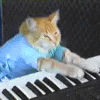 keyboardcat
